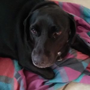 Meet your Posher, Jackie